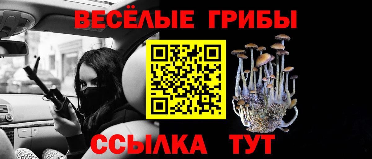 Корсаков  Галлюциногенные грибы мицелий  Вход с VPN 